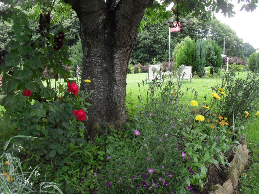 La Chevallerie B&B Isigny-le-Buat Exterior foto